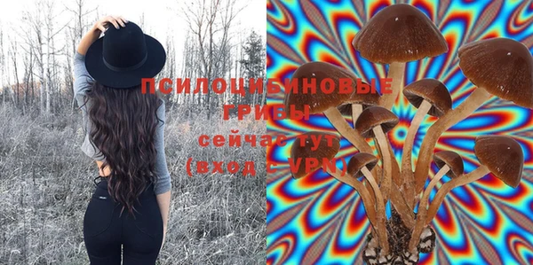 ГАЛЛЮЦИНОГЕННЫЕ ГРИБЫ Алзамай