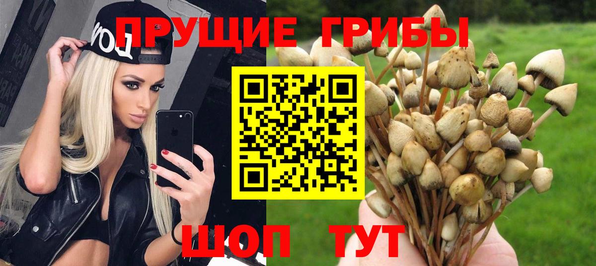 Псилоцибиновые грибы Psilocybine cubensis Стерлитамак